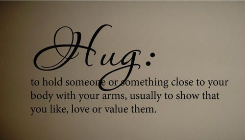 Hug Definition Cute Family Decor Wall Quote Decal  